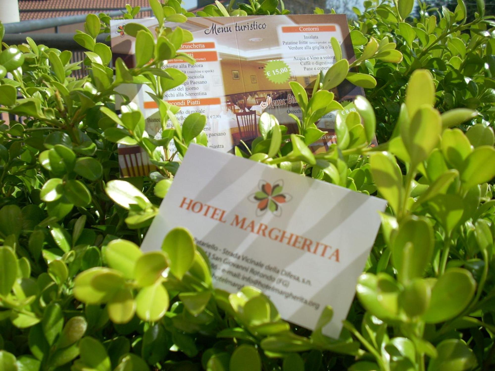 Hotel Margherita سان جيوفاني روتوندو المظهر الخارجي الصورة