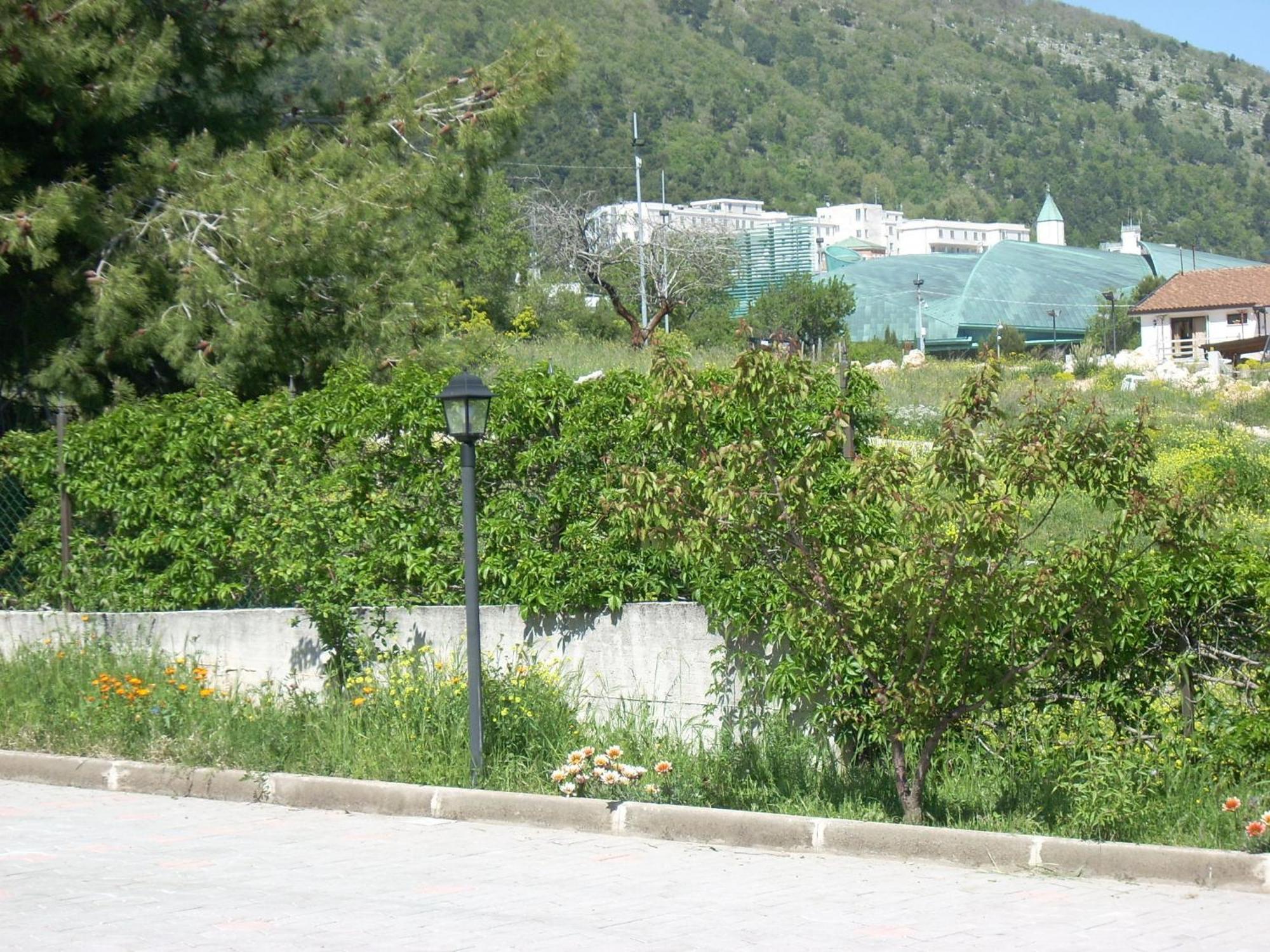 Hotel Margherita سان جيوفاني روتوندو المظهر الخارجي الصورة